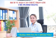 Dịch vụ Báo cáo thuế tại Kế Toán Tín Việt