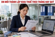 Công ty mới thành lập khai thuế theo tháng hay quý